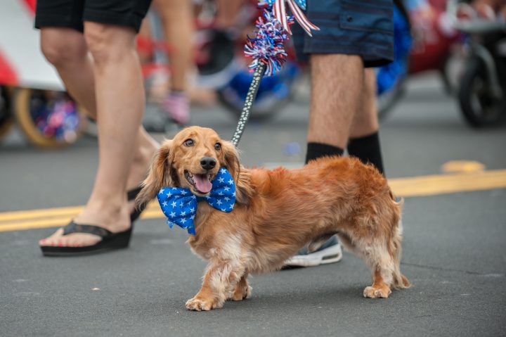 Park Street Historical Association’s 2023 4th of July Parade